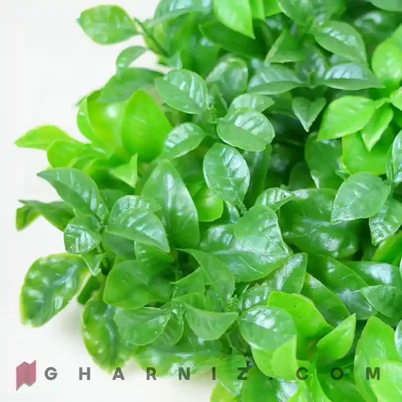 گرین وال پرتقالی کد GH-101 — تصویر 2