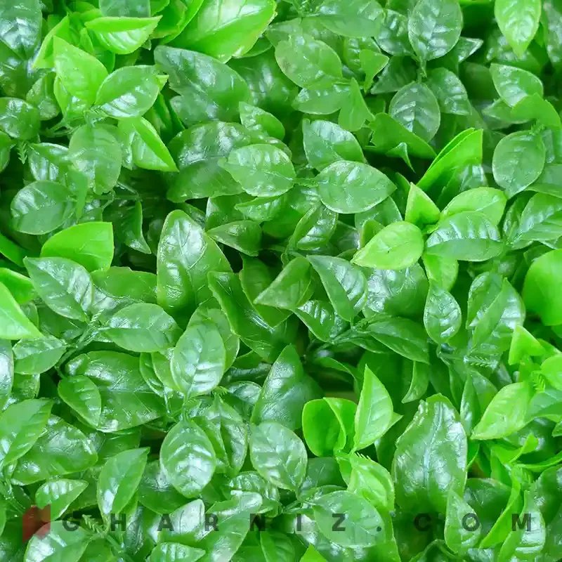گرین وال پرتقالی کد GH-101 — تصویر 4