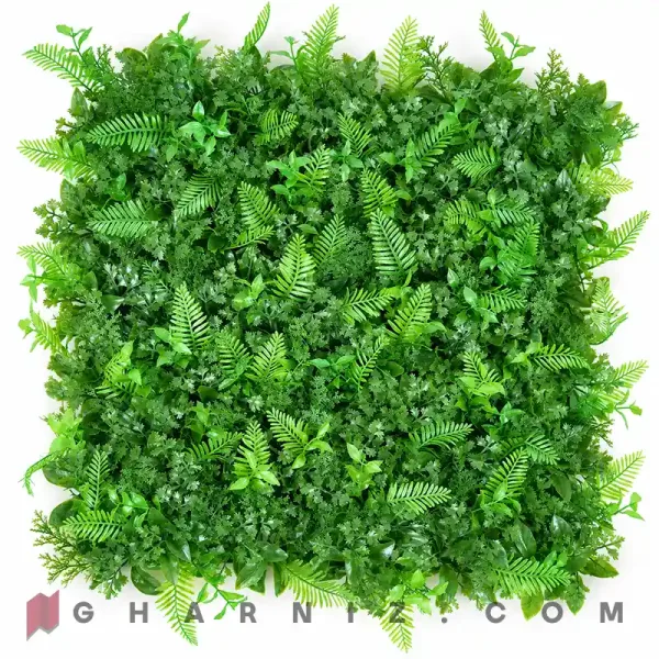 گرین وال گشنیز سیکاس تک رنگ
