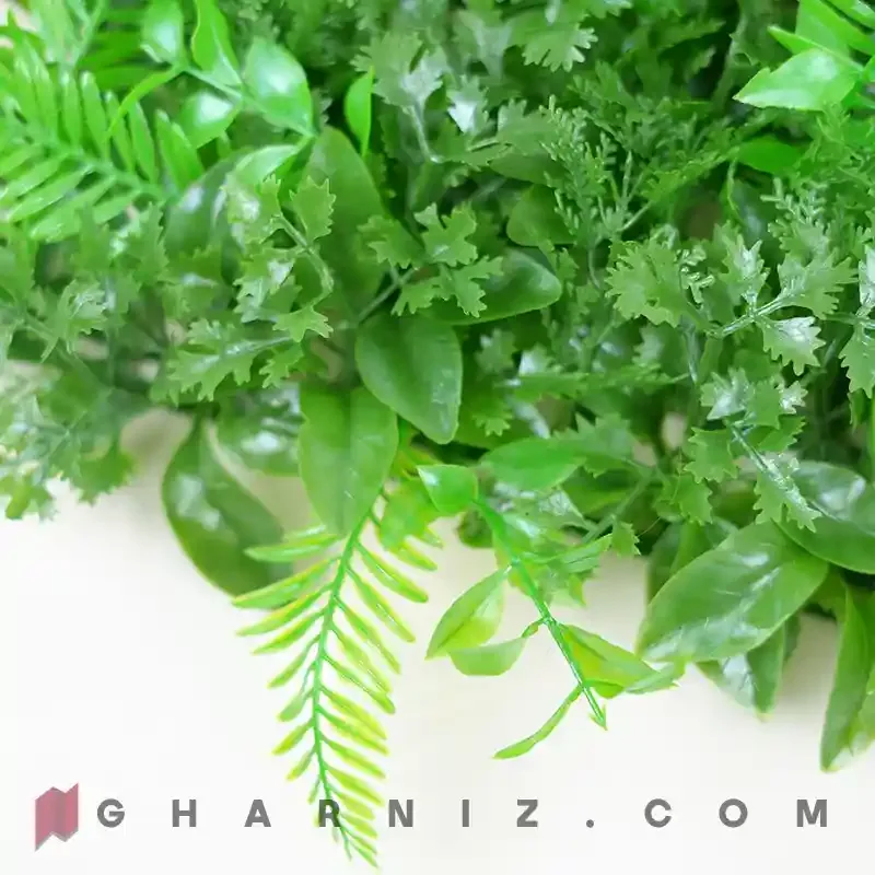 گرین وال گشنیز سیکاس تک رنگ کد gh-102 — تصویر 3