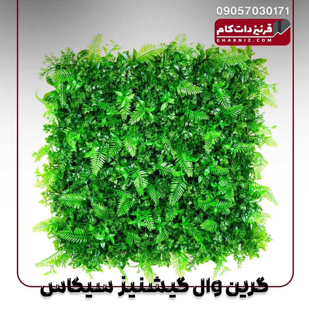  گرین وال گشنیز سیکاس 