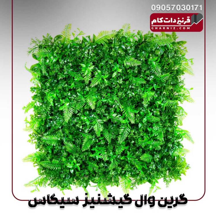 گرین وال گشنیز سیکاس 