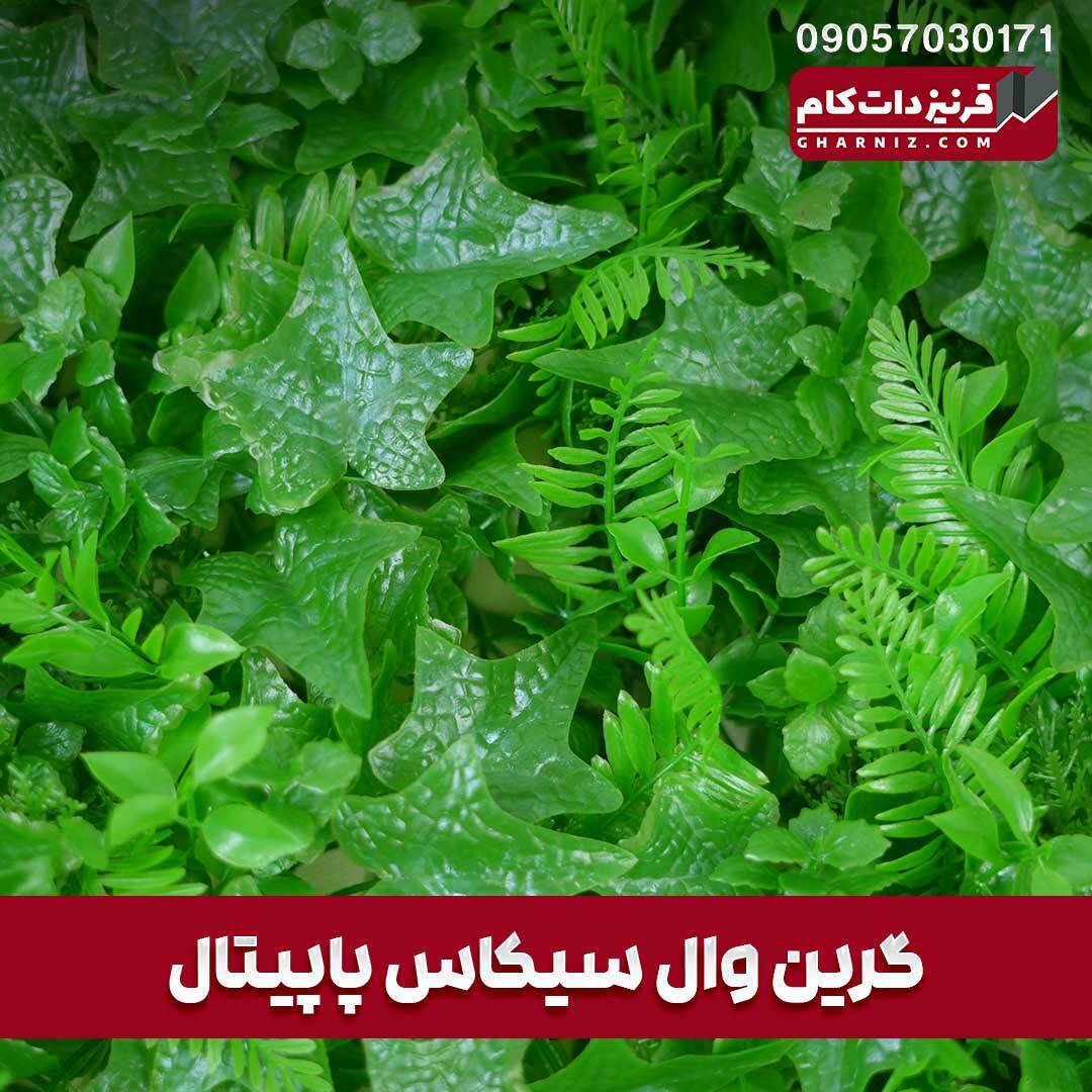 گرین وال مصنوعی پاپیتال سیکاس 