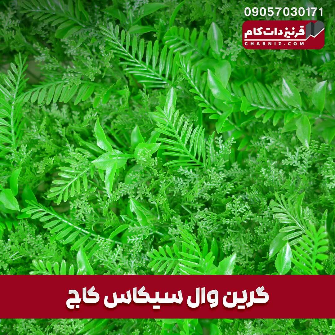  گرین وال سیکاس کاج 