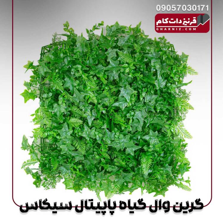 گرین وال مصنوعی پاپیتال سیکاس