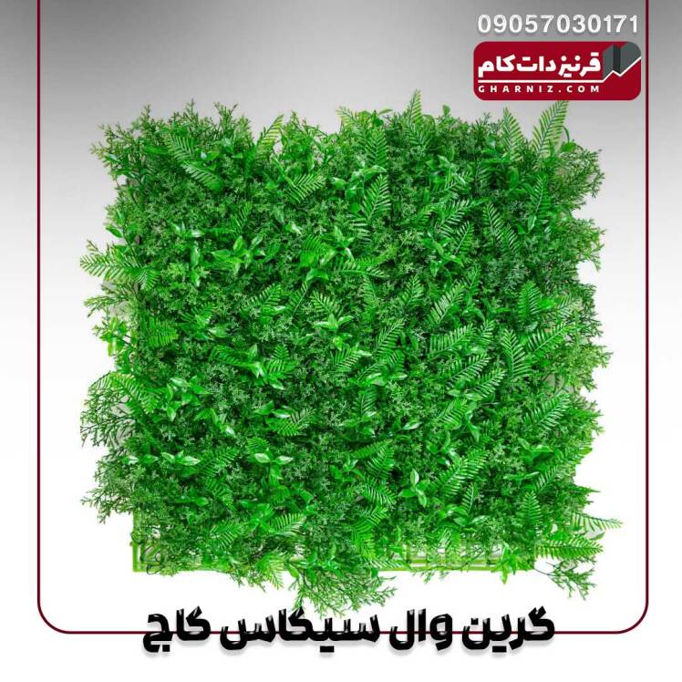 گرین وال سیکاس کاج