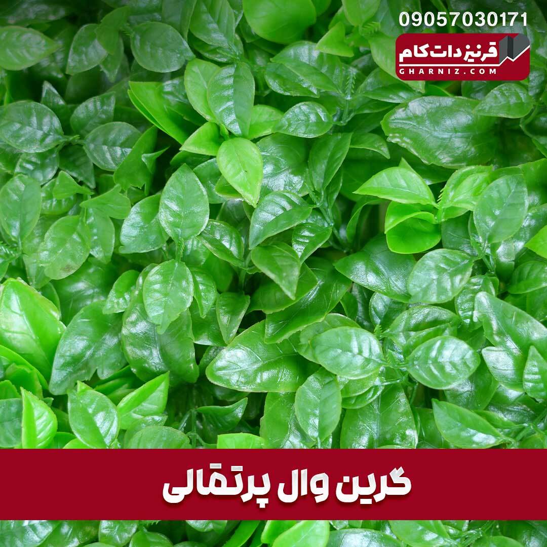  گرین وال پرتقال 